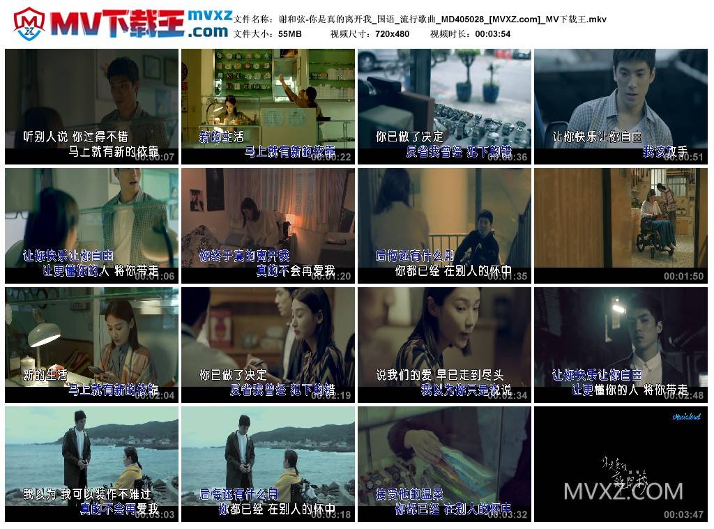 谢和弦-你是真的离开我_国语_流行歌曲_MD405028